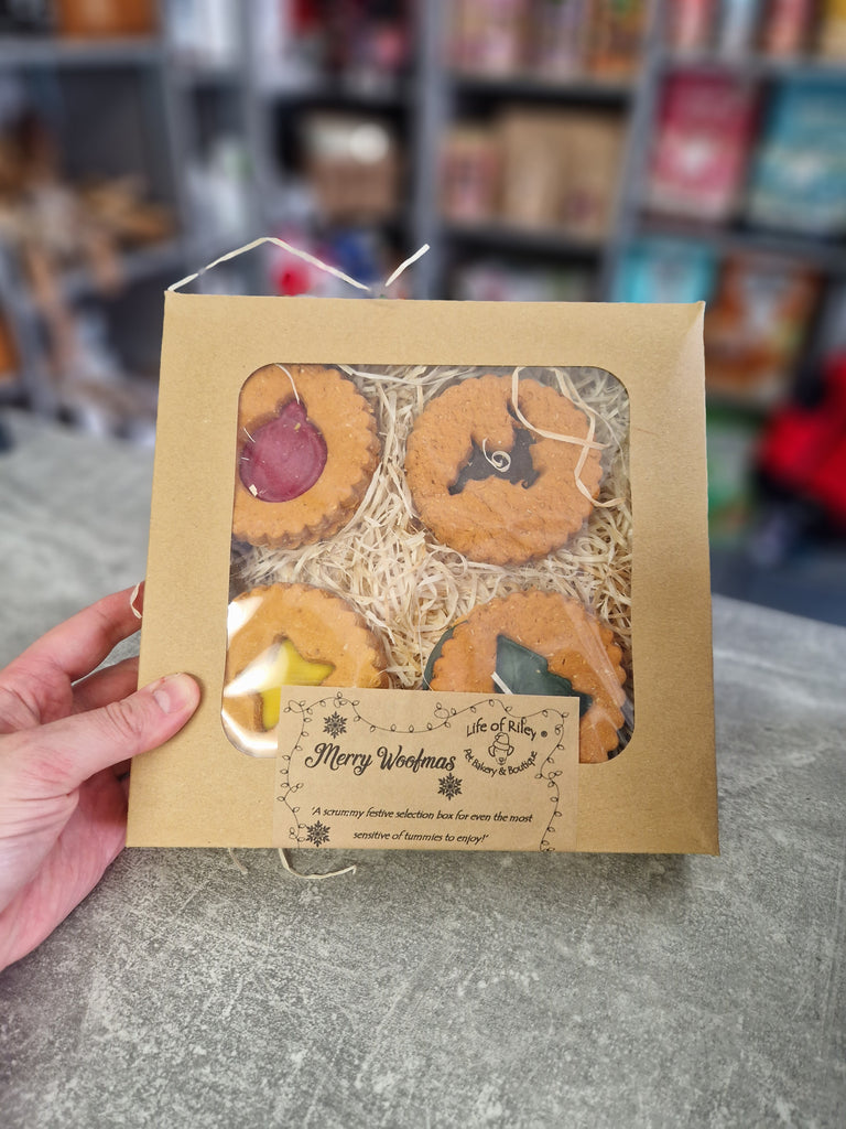 Our Top 11 Stocking Filler Ideas for Your Furry Friends