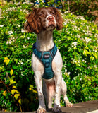 Forest Green Tough Dog Harness