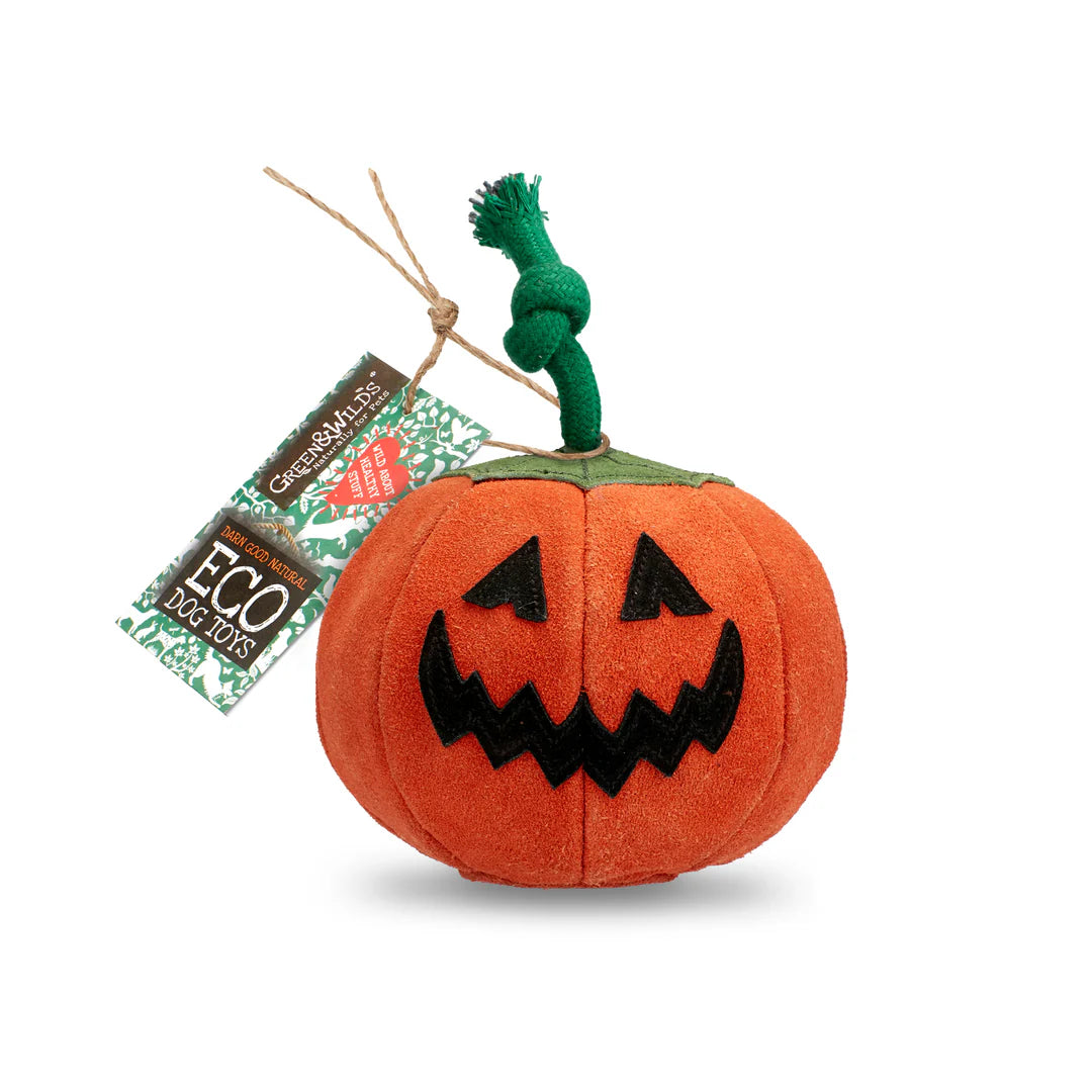 Patch the Pumpkin, Eco Dog Toy