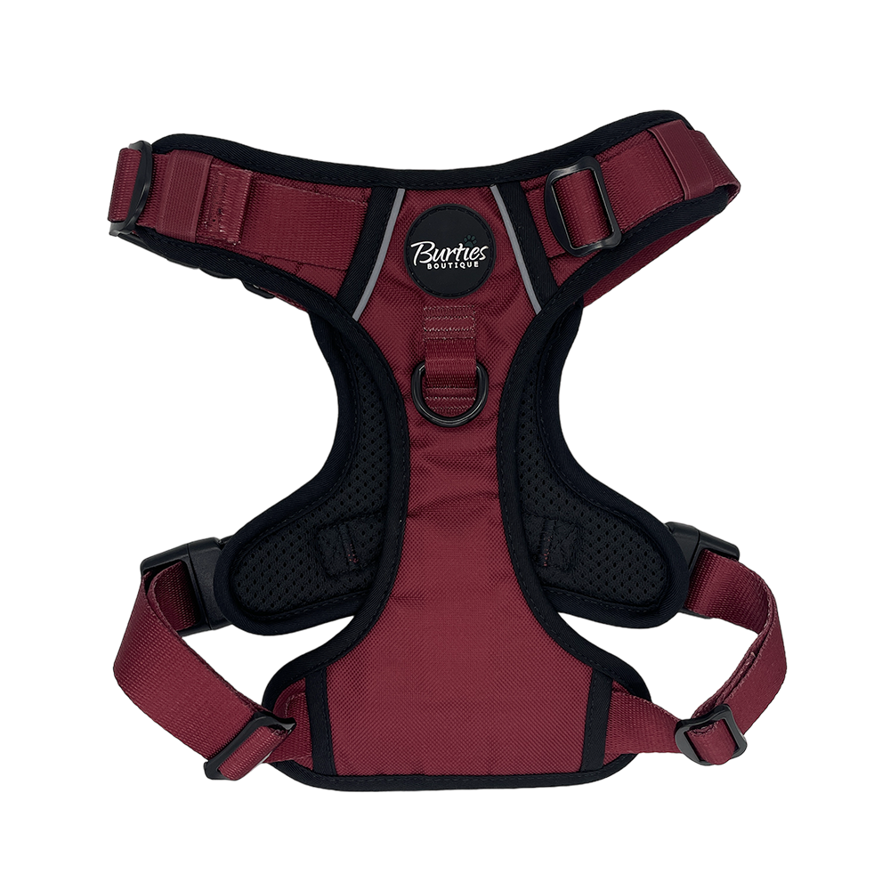 Burgundy Tough Dog Harness