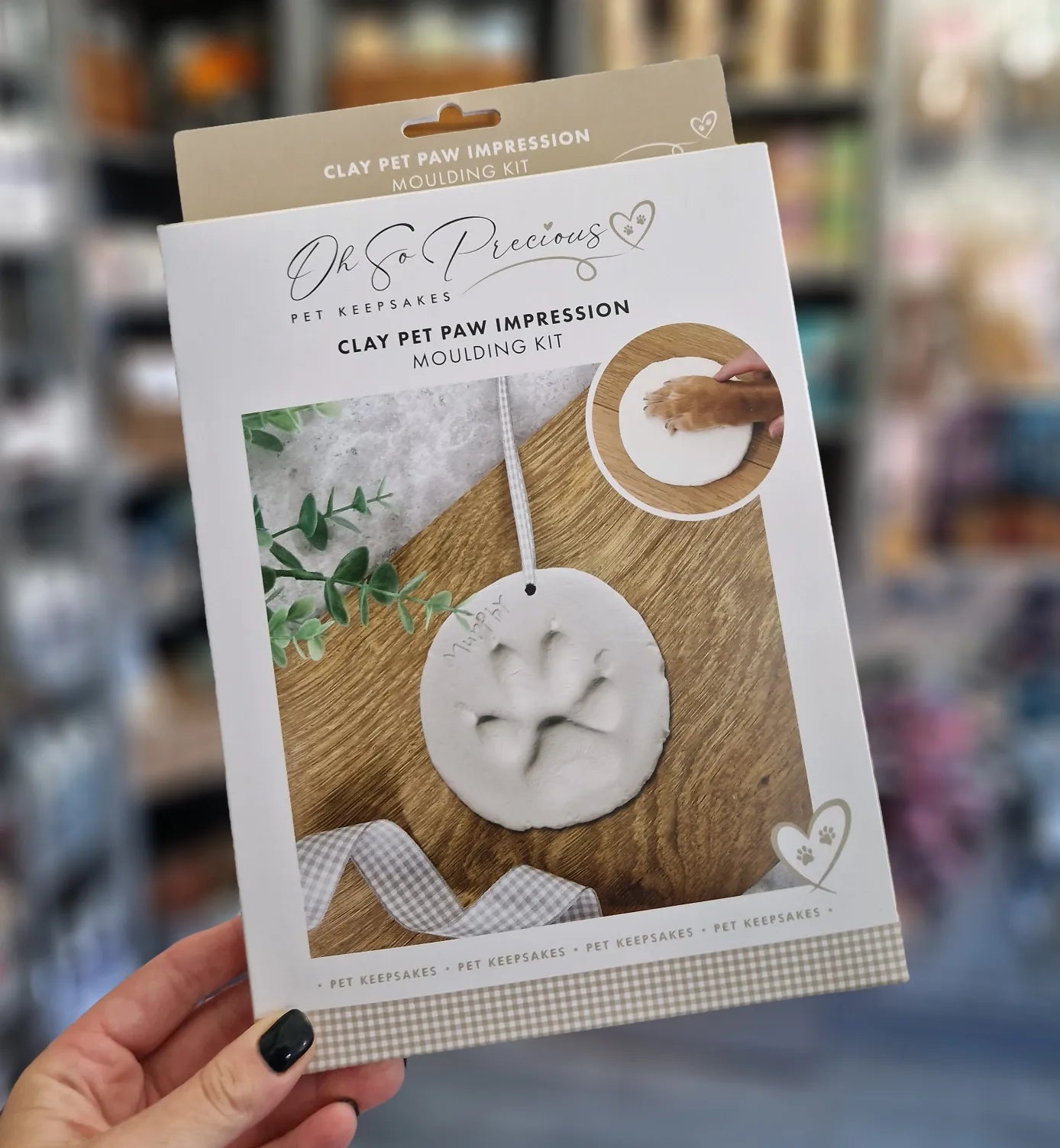 Clay Pet Paw Print Impression Moulding Kit