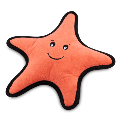 Beco Recycled Rough & Tough Starfish Dog Toy