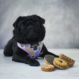 Pawsome Paws Boutique Dog Harness - Takes The Biscuit