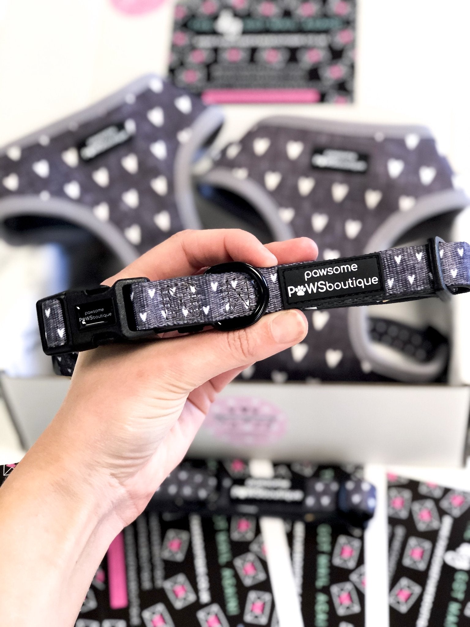 Pawsome Paws Boutique Dog Collar – Black Jack