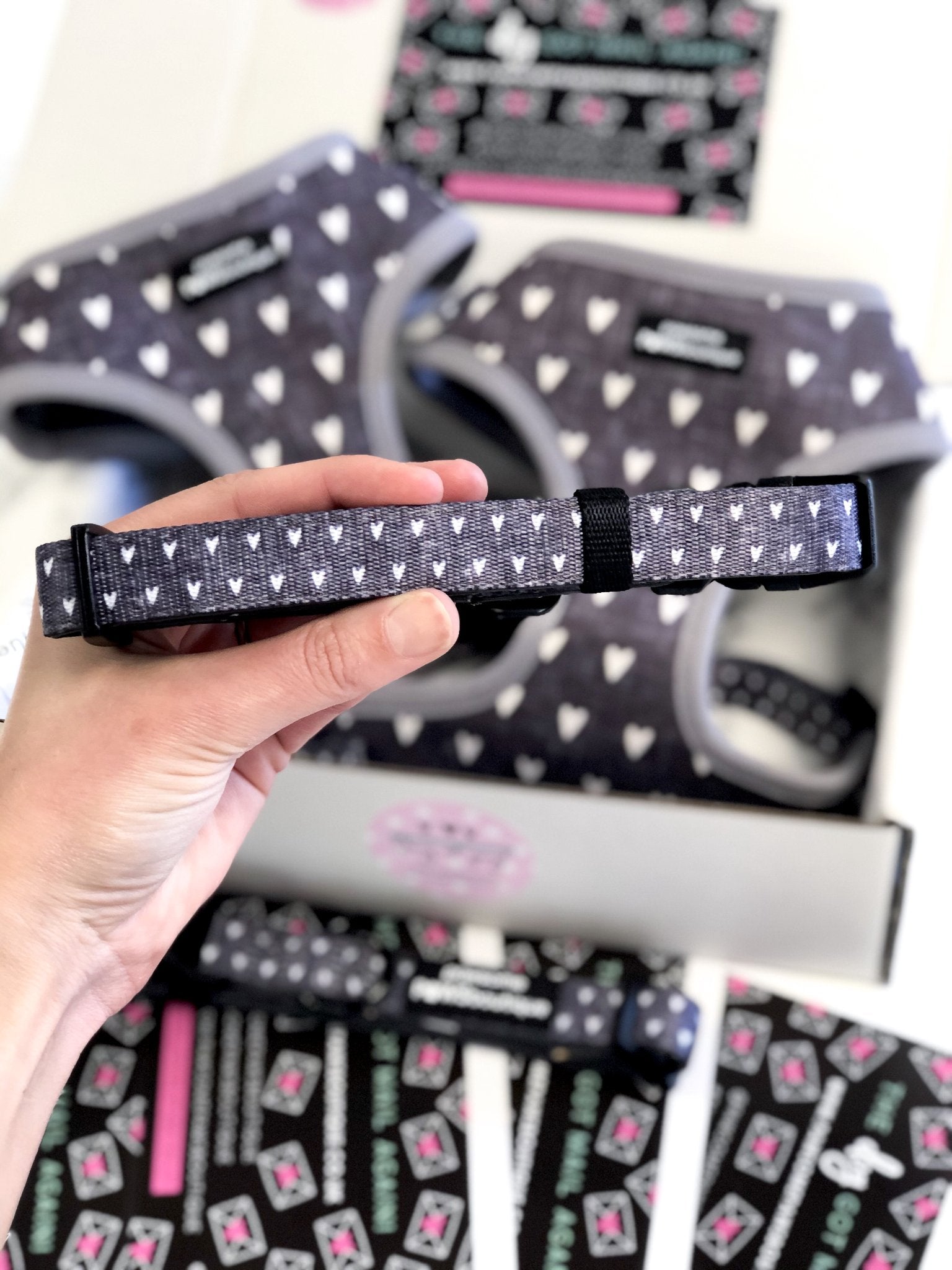 Pawsome Paws Boutique Dog Collar – Black Jack