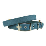 Earthbound Camden Dog Collar Teal