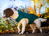 Burties Boutique Dog Rain Coat, Forest Green