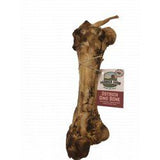 Antos Paddock Farm Ostrich Dino Bone Dog Chew