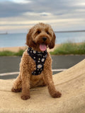 Pawsome Paws Boutique Dog Harness - Bee Kind
