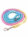Pawsome Paws Boutique Rope Dog Lead-Refresher