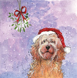 Christmas Cockapoo Dog Christmas Card 5 Pack