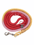 Pawsome Paws Boutique Rope Lead - Sunset